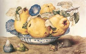 Natura morta di Giovanna Garzoni con frutti e insetti